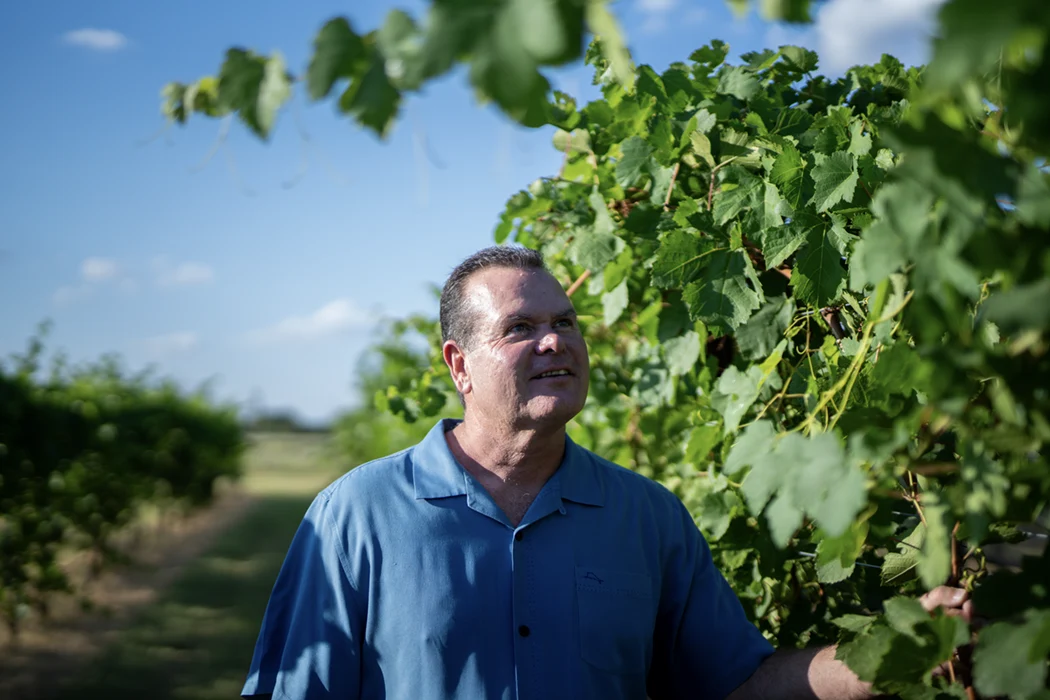 Why-Texas-Wine Texas has emerged as one of the fastest-growing wine